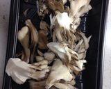 簡単★豆腐ステーキの舞茸ソースがけ作り方2写真