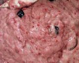 ミックスベリーとココナッツオイルのケーキ作り方3写真