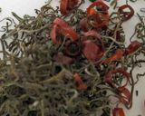 白菜の塩こうじ漬け作り方6写真