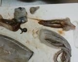 日本酒に合う!! お手軽 イカ 塩辛風作り方6写真