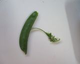 たっぷり野菜の塩あんかけうどん作り方8写真
