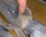 イカのさばき方作り方1写真