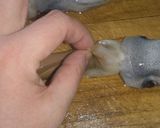イカのさばき方作り方4写真