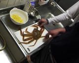 一匹まるっとカニグラタン作り方1写真
