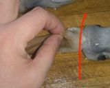 イカのさばき方作り方5写真