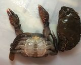 プーパッポン作り方5写真