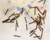 簡単♪トイプードルそっくり唐揚げ作り方4写真