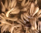 乳酸発酵らっきょう作り方1写真