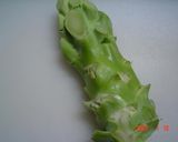 ブロッコリーの茎ｄｅチンジャオロース作り方1写真