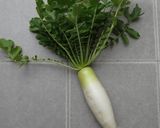 根菜たっぷり豚汁 翌日は粕汁にリメイク！作り方1写真