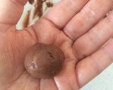 バレンタイン酒粕♡甘酒☆生チョコトリュフ作り方4写真