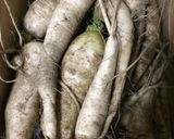 ハマダイコンのあっさり漬け作り方1写真