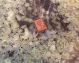 簡単で美味しぃ☆オニオンバターピラフ作り方3写真