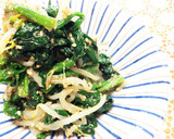 あと一品！法蓮草ともやしの胡麻味噌和え作り方6写真
