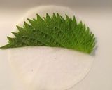 おから入り！皮なし！マヨポン大根餃子作り方4写真
