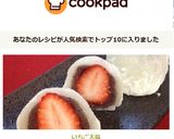 いちご大福作り方20写真