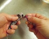 3ステップで超簡単！ メヒカリの捌き方作り方3写真