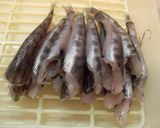 3ステップで超簡単！ メヒカリの捌き方作り方6写真