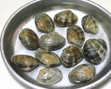 大根とあさりの薄氷(うすらい)煮作り方1写真