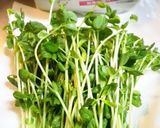 きのこと豆苗のガーリック炒め♪作り方2写真
