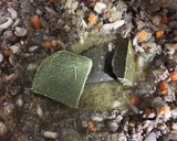 主に玉ねぎと人参！美味しぃキーマカレー作り方7写真