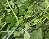 レンジで3分！豆苗とエノキの塩昆布和え作り方2写真