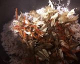 舞茸とささみの混ぜご飯作り方4写真
