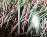 きやらぶきの佃煮作り方1写真