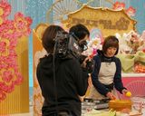 TV放送☺塩レモンでミルフィーユ鍋☆作り方9写真