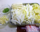 簡単・安い・早い！白菜＆大根のマーボ♪作り方1写真
