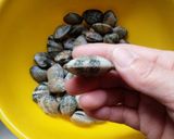 ☆あさりの味噌汁☆作り方2写真