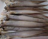幻の深海魚「水べこ」の一夜干し作り方4写真