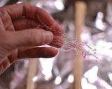 シュクレフィレ〜糸あめの作り方〜作り方7写真