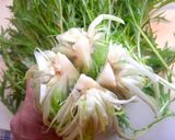 水菜と林檎のパリパリ麺サラダ♪作り方2写真
