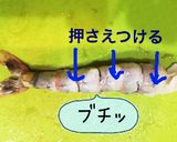 図解◉元洋食シェフの父に習ったエビフライ作り方10写真