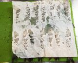 図解◉元洋食シェフの父に習ったエビフライ作り方12写真