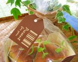 チョコミント☆チーズケーキ作り方14写真