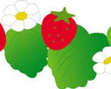 いつでも食べたいから安い時に☆冷凍イチゴ作り方8写真