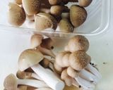 シメジと人参のバター醤油炒め作り方2写真