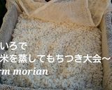 おもちつきで♪よもぎの草もち作り方3写真
