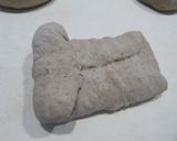 黒豆煮汁で♪全粒粉食パン☆ＨＢ使用作り方4写真