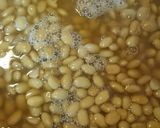 味噌作り作り方4写真