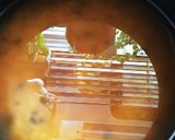 もちもち！黒米とごぼうの炊き込みご飯作り方4写真