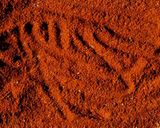 わが家のオリジナル香辛料を作ろう。作り方4写真