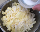 あっという間に！白菜と塩昆布の浅漬け作り方2写真