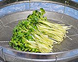 かいわれ大根の昆布締め ☆ お寿司作り方1写真
