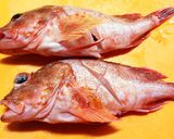 ♪旨いぞ♡ホゴの煮付け（カサゴのこと）♪作り方1写真