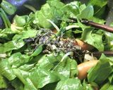 ご飯に合う♡ごてあらポー!!な卵野菜炒め作り方10写真