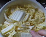 キムチの素で簡単キムチ！大量消費作り方1写真