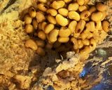 『手作り味噌』少量！！出来上がり1kg作り方5写真